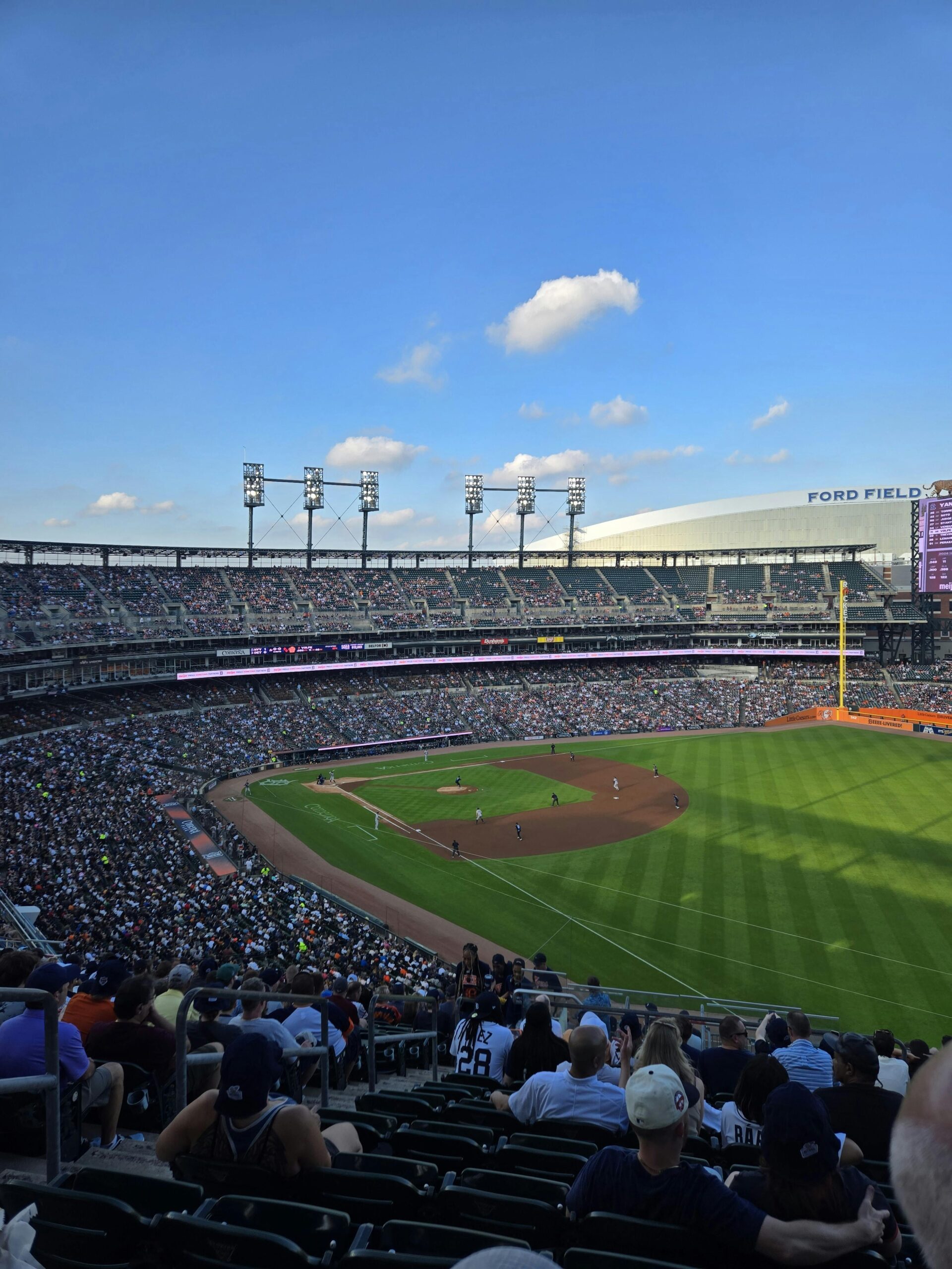 Web Development for Sports Industries
